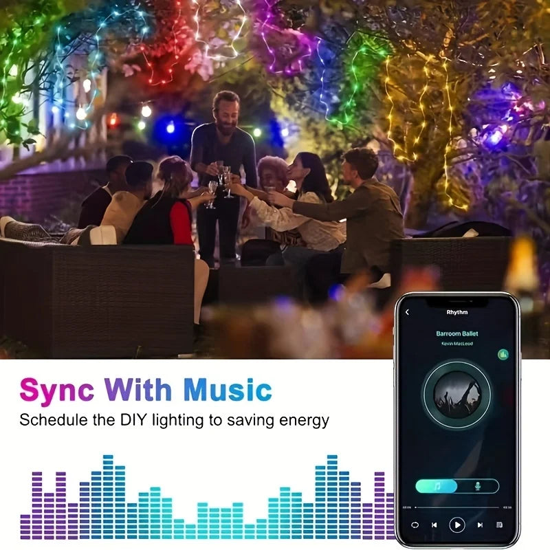Smart Leather Cord Fairy Lights