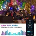 Smart Leather Cord Fairy Lights