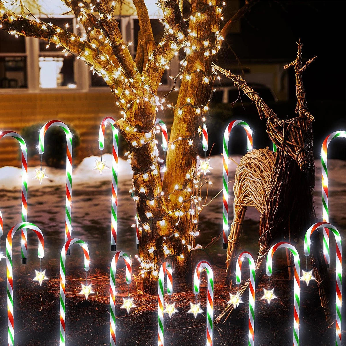 Solar Candy Cane Pathway Lights