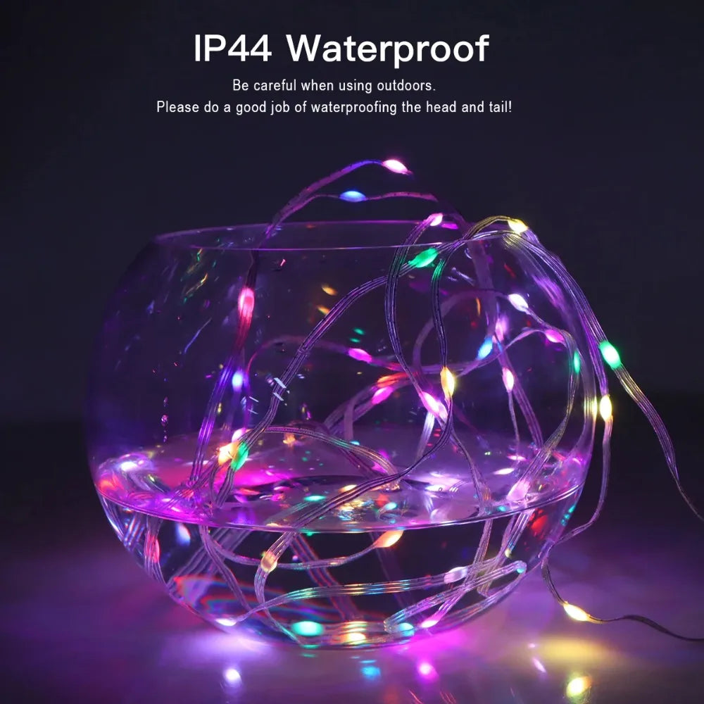 RGBIC Lighting Bluetooth Music Dream Color Christmas