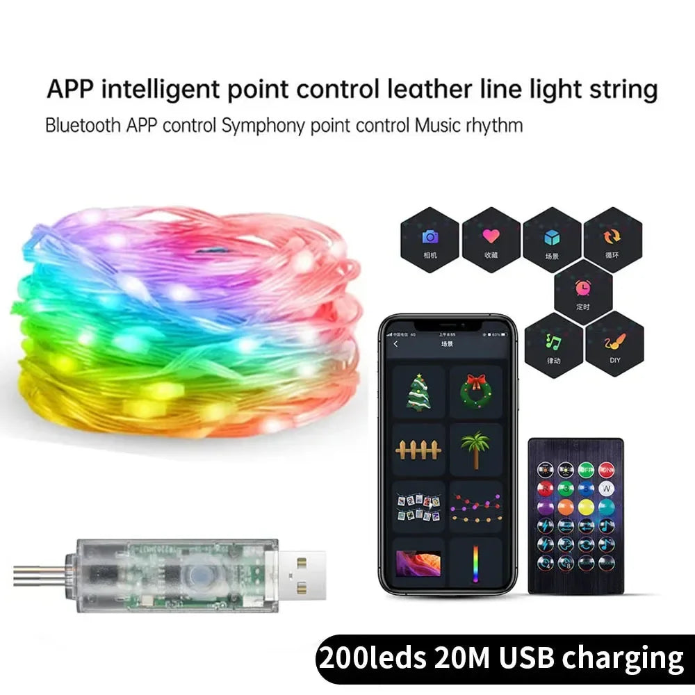 Smart Leather Cord Fairy Lights