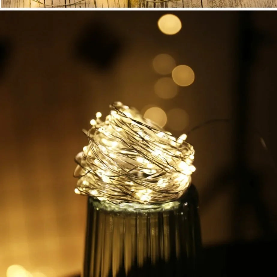 Waterproof Copper Wire Fairy Lights