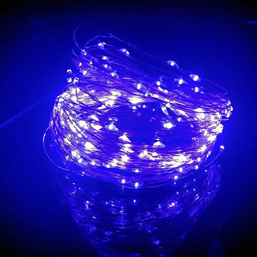 Waterproof Copper Wire Fairy Lights