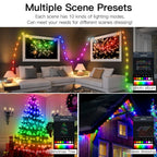 RGBIC Lighting Bluetooth Music Dream Color Christmas