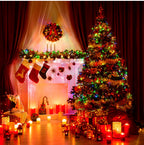 Warm White and Color Fairy Lights