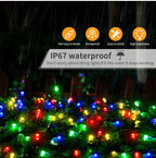 Warm White and Color Fairy Lights