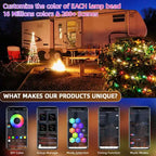 RGBIC Lighting Bluetooth Music Dream Color Christmas