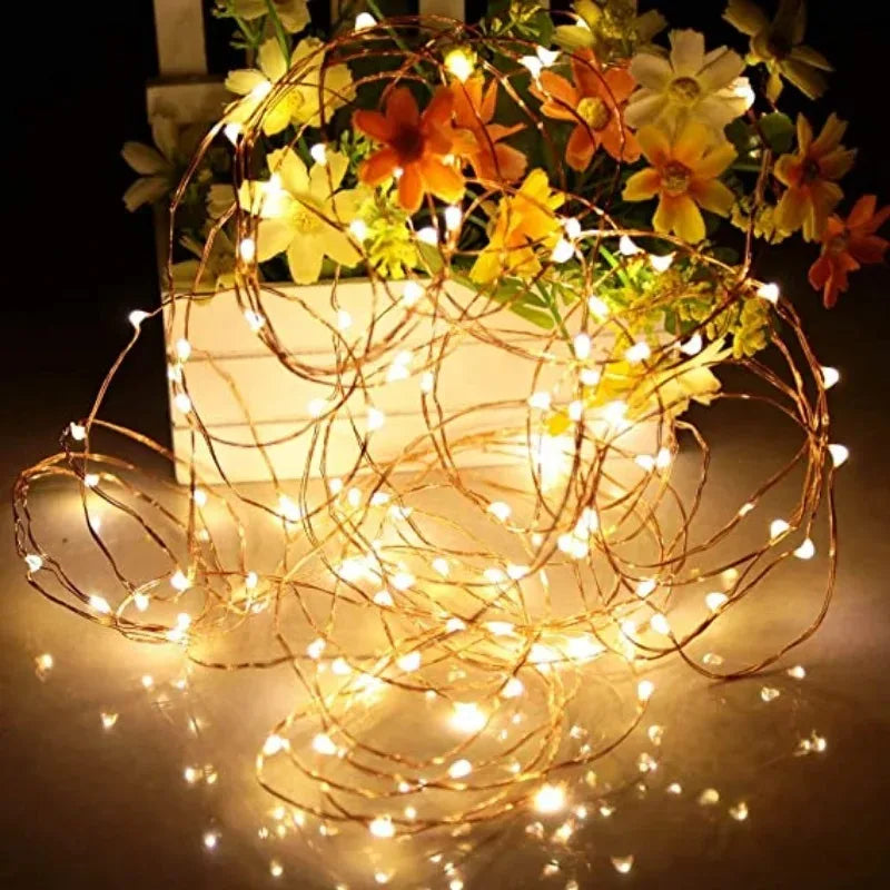 Battery Christmas Ornament Lights