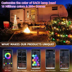 RGBIC Lighting Bluetooth Music Dream Color Christmas