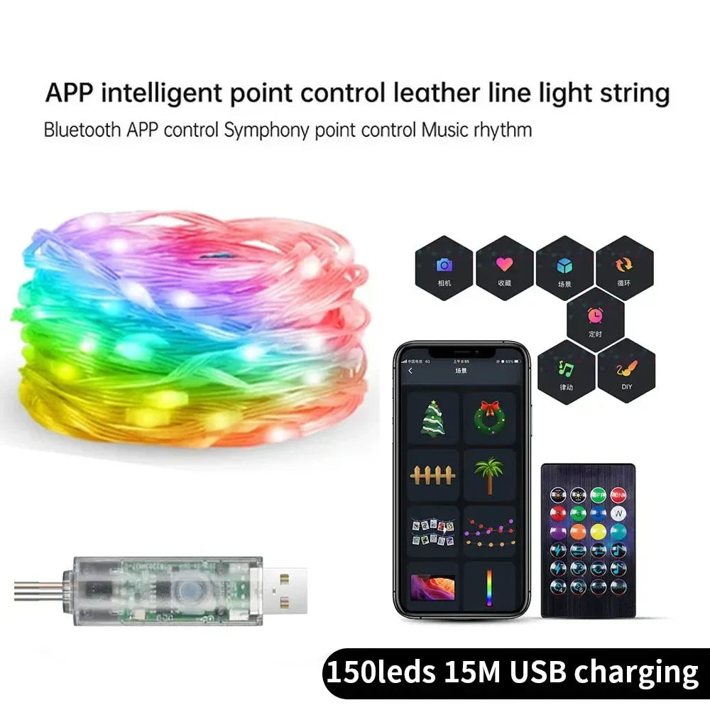 Smart Leather Cord Fairy Lights