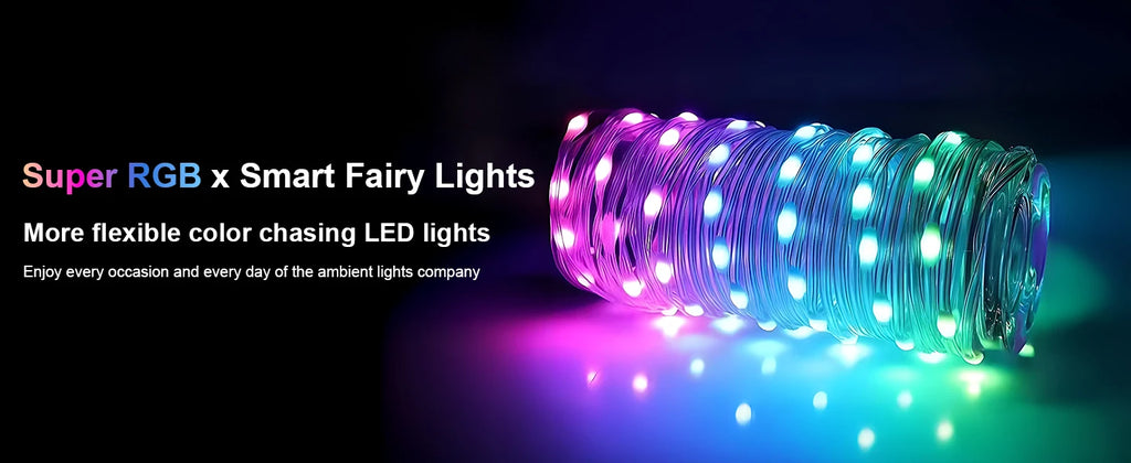 Smart Leather Cord Fairy Lights