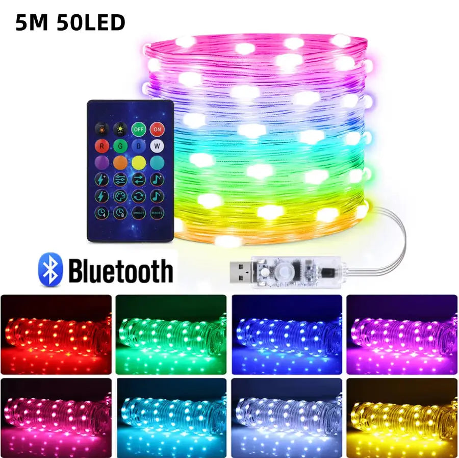 Smart Leather Cord Fairy Lights