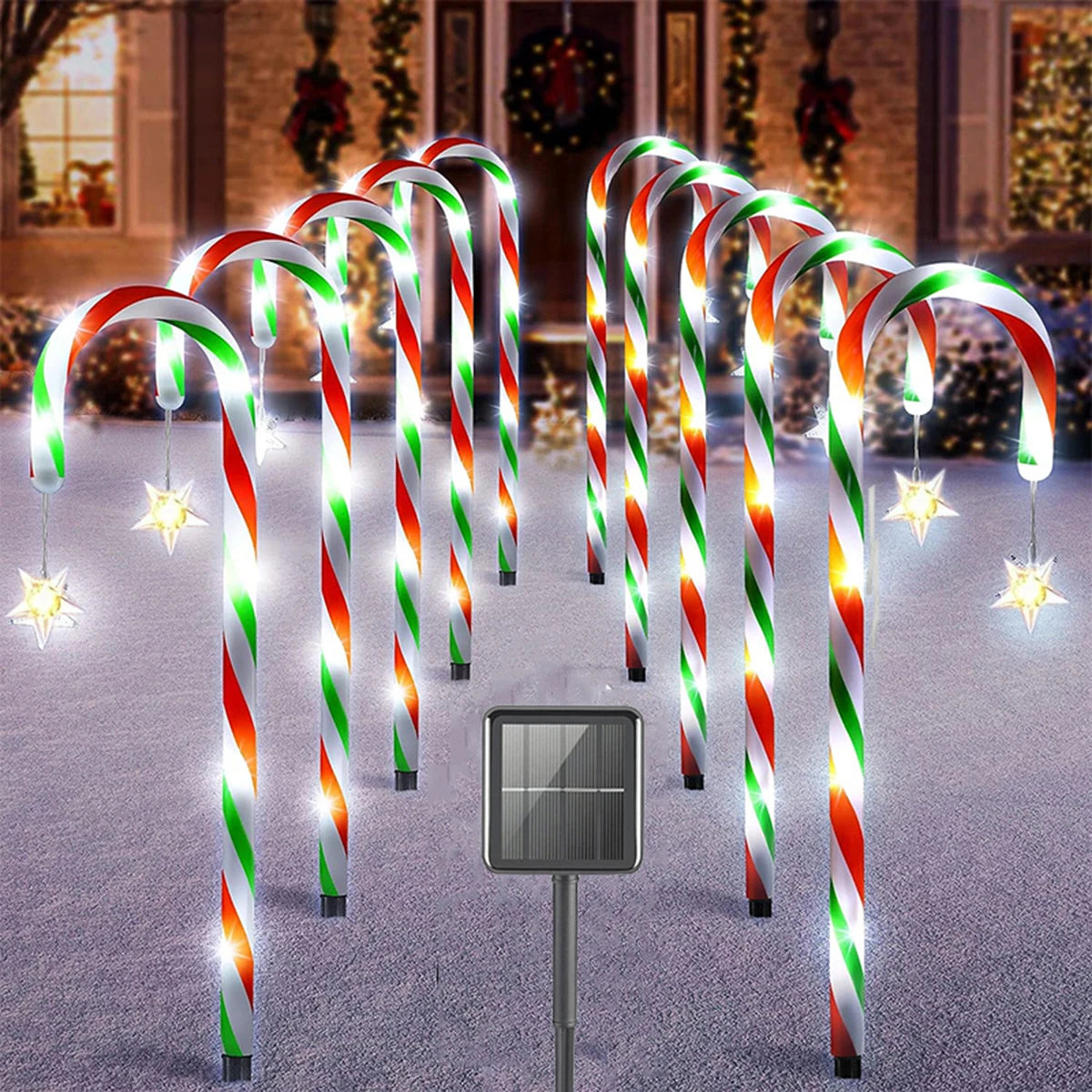 Solar Candy Cane Pathway Lights