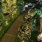 Remote Waterproof Christmas Fairy Lights