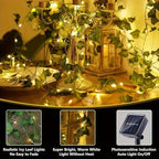 Solar Ivy Leaf Fairy Lights