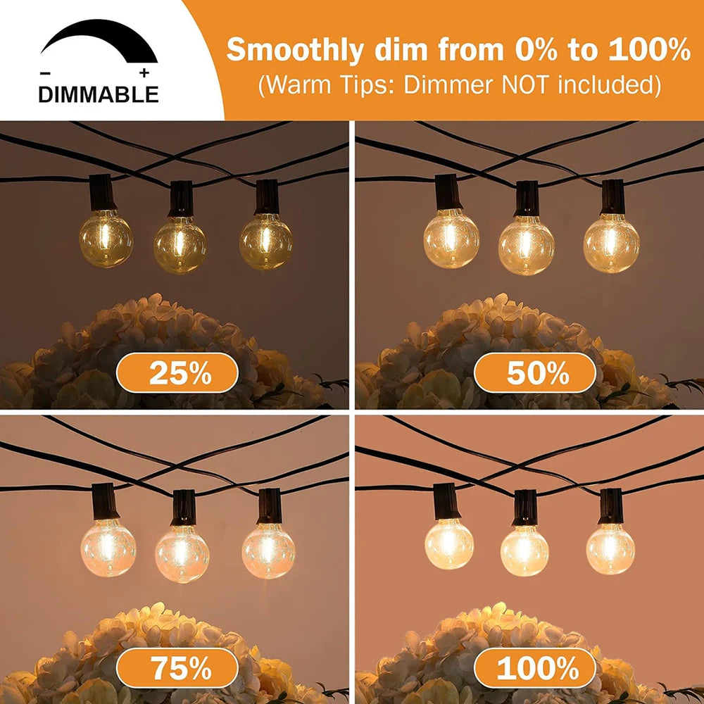 Festoon Patio Holiday String Lights