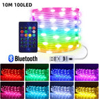 Smart Leather Cord Fairy Lights