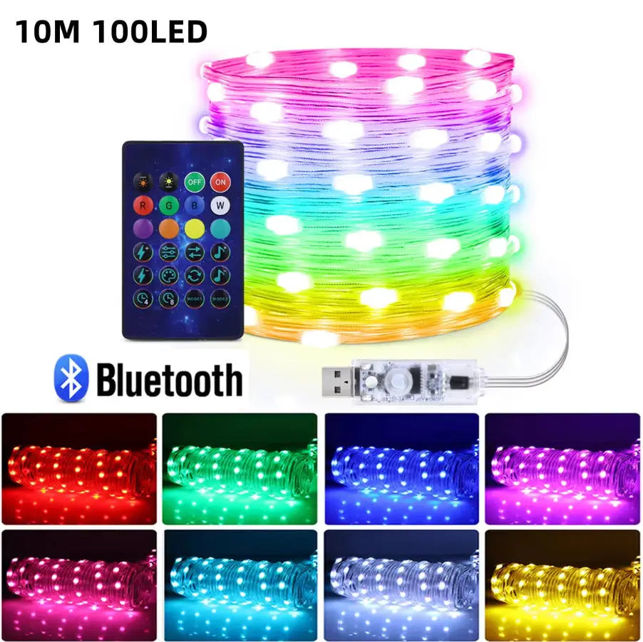 Smart Leather Cord Fairy Lights