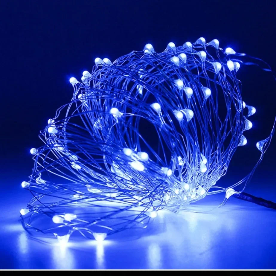 Waterproof Copper Wire Fairy Lights